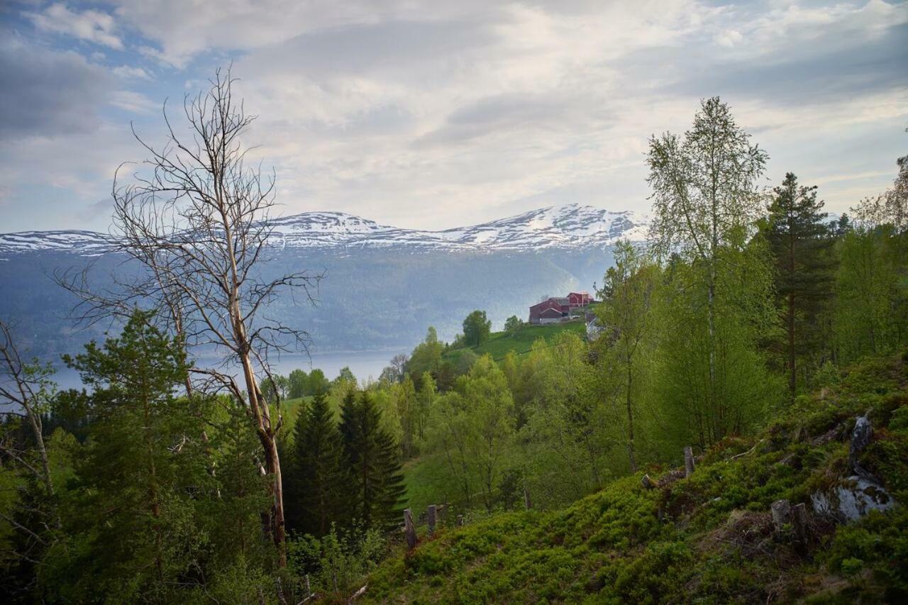 Panorama View Along The Fjord In Stryn Villa Blakset Exteriör bild